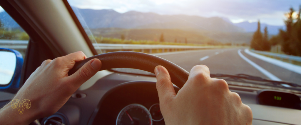 Vision Leaks - reflective driving